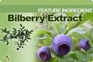 Bilberry Extract