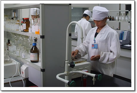 Analysis Lab