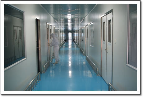 cGMP Clean room
