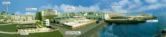 Manufacurer site with GMP,ISO and NSF compliant facilities for Glucosamine and Chondroitin Sulfate